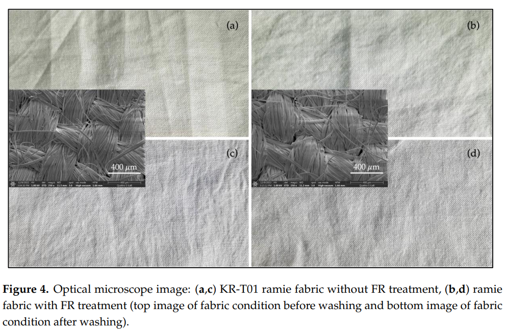Flame-Resistant Ramie Fabrics: A Safer Step Toward Sustainable Textiles