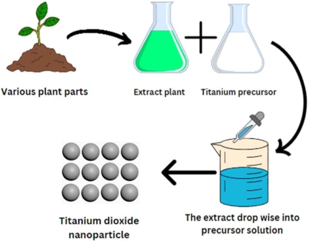 Turning Plants into Green Nanotech: Eco-Friendly TiO2 Nanoparticles for a Cleaner Future