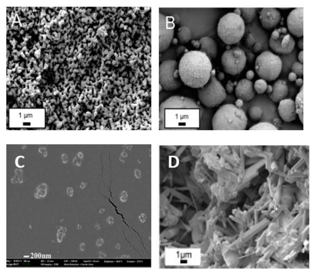 Hydroxyapatite: A Breakthrough for Smarter Drug Delivery and Regenerative Medicine